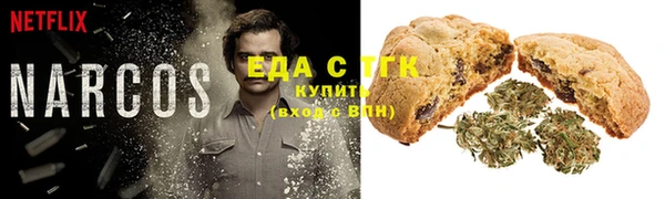 гашик Горняк