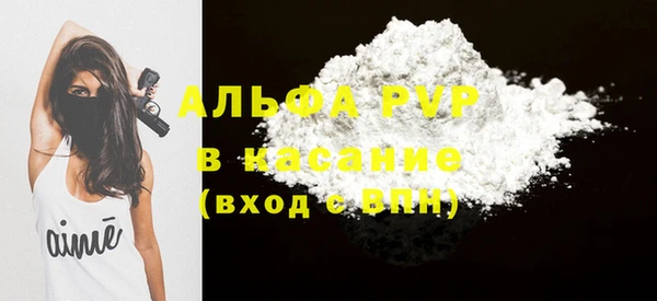 гашик Горняк