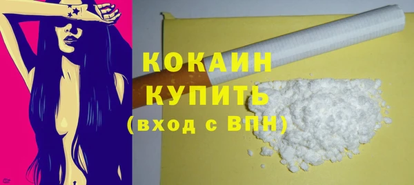 гашик Горняк