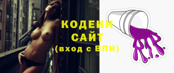 гашик Горняк