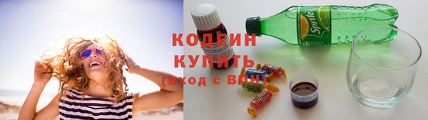 гашик Горняк