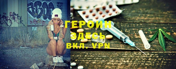 гашик Горняк