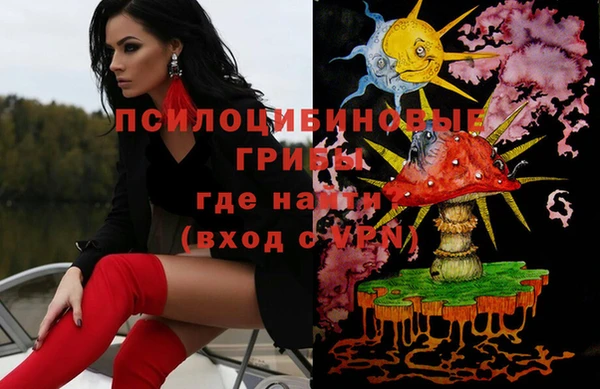 гашик Горняк