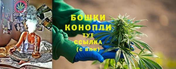 дмт Горнозаводск