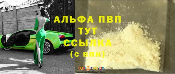 гашик Горняк