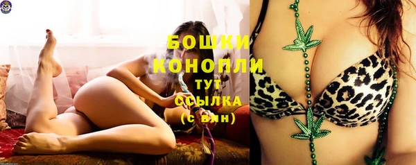 дмт Горнозаводск