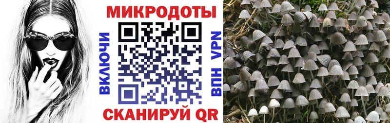 Псилоцибиновые грибы прущие грибы  как найти закладки  Невель 